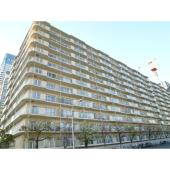 鉄骨鉄筋コンクリート造地上11階建て・総戸数234戸
