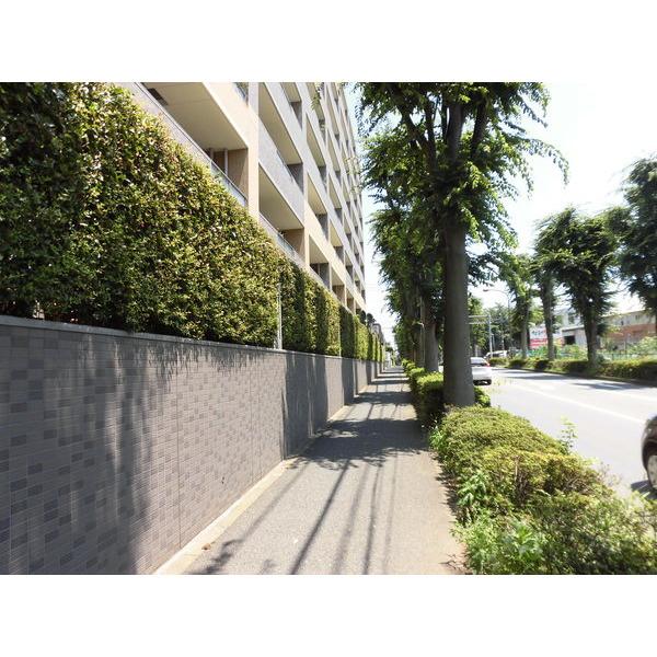 整備された歩道