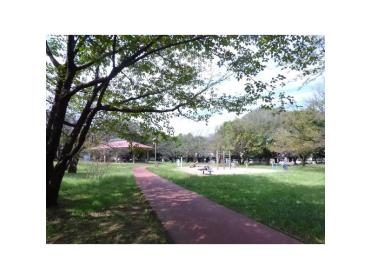 樹林公園