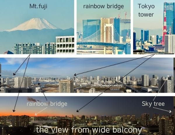 東京タワー、レインボーブリッジを臨む、西向き高層階住戸