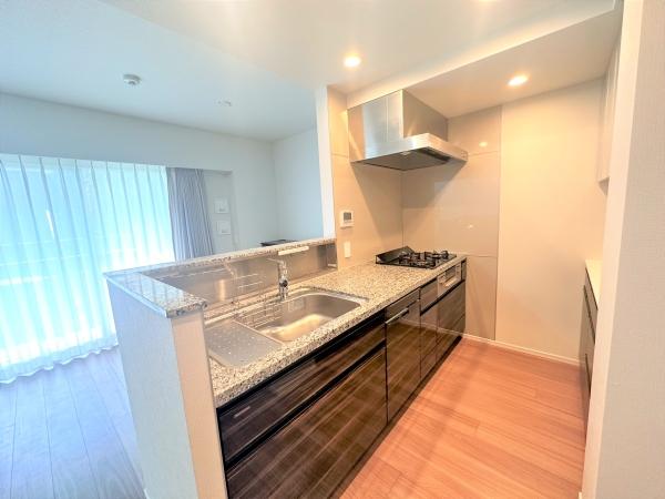 ライオンズ横濱仲町台ヴィアーレ　駐車場側外観