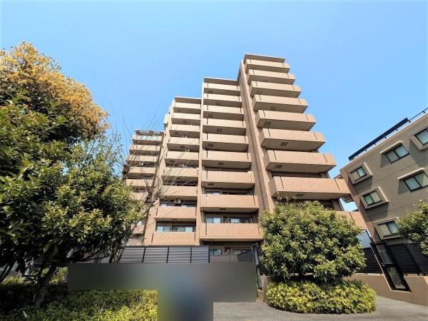 建物外観（南側から撮影）