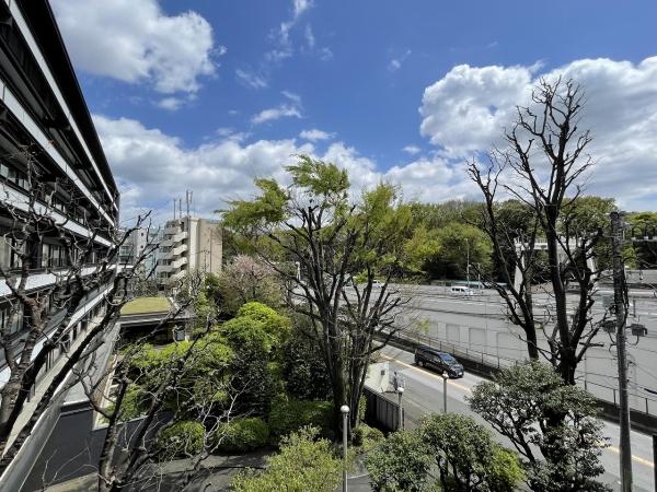 東側バルコニーからの眺望（眺望は永続的に保証されるものではございません）