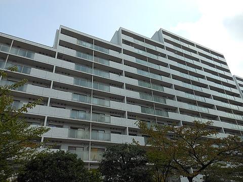 N棟総戸数116戸の大規模マンション