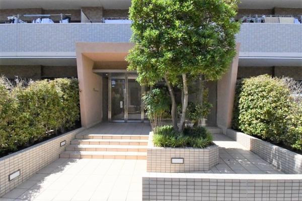 南側から　色違いのタイルを貼り分けたスタイリッシュな外観