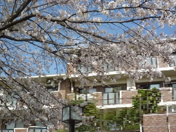 2021年3月クロス、フローリング張替え済み