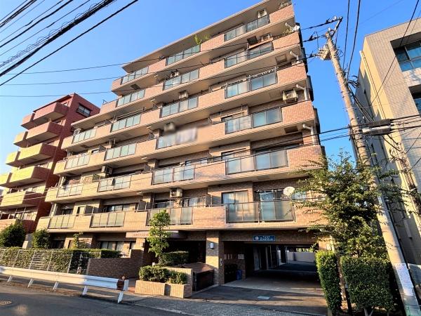 現地南側　地上７階建て