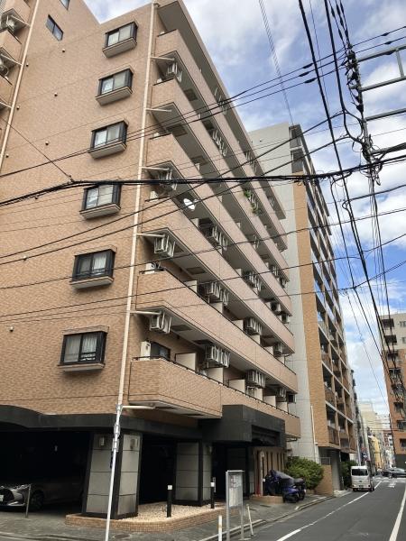 建物外観　１９９１年８月完成　総戸数９５戸