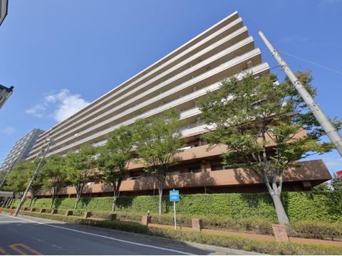建物外観（１０階建　総戸数１９７戸）
