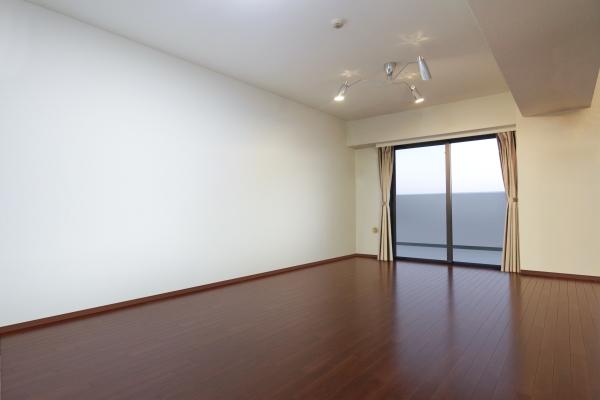 南側バルコニーからの眺望　（永続的に保証するものではございません）