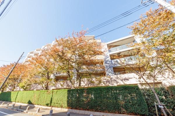 エントランスアプローチ