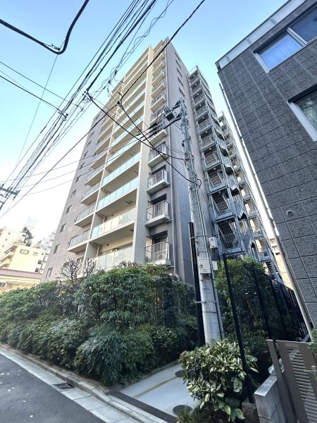 現地北東側から撮影