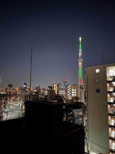 リビングダイニングの東側窓から望む花火（眺望は永続的に保証されるものではありません）