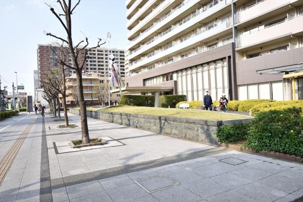 重厚感と植栽の潤いを感じるエントランス