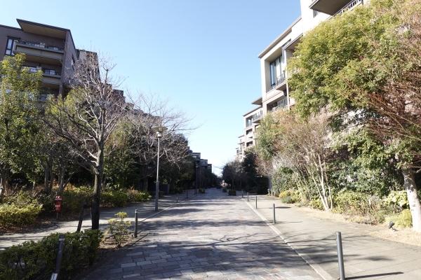 マンション前には四季折々の変化を楽しめる街路樹が並んでいます。