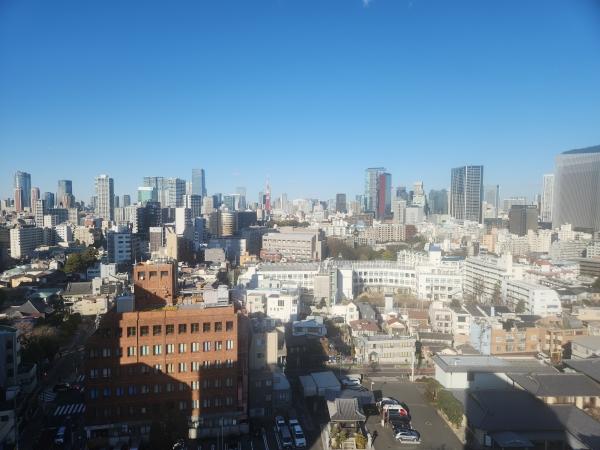 メインベッドルームからの眺望（眺望を永続的に保証するものではございません）