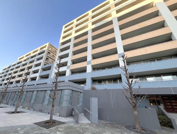 外観（東側から撮影）