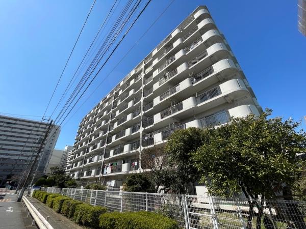 南向き棟なので日当たりも良好です