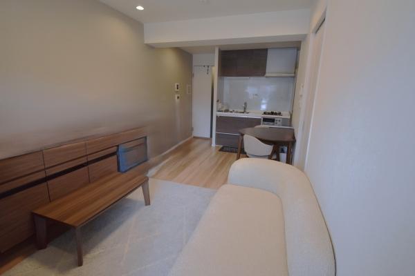 南西向きバルコニーに面したリビング。家具備品等は販売に含まれません。