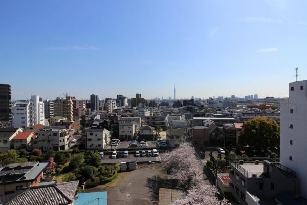 南側バルコニーからの眺望（眺望は永続的に保証するものではございません）