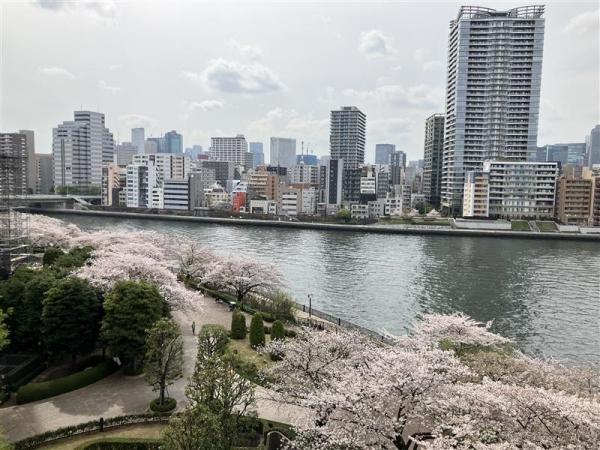 バルコニーからの眺望