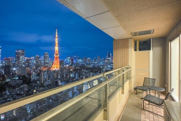 バルコニーからの眺望（眺望は永続的に保証されるものではありません。）