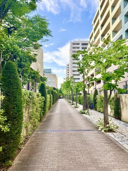 現地外観　総戸数３９１戸のビッグコミュニティ