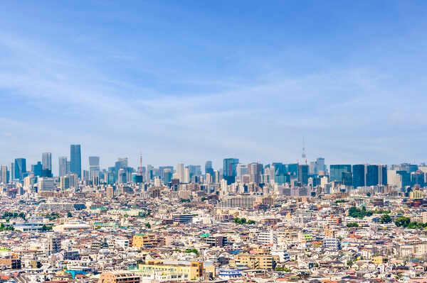 住戸からの眺望。季節の移ろいを感じられる多摩川沿い。緑豊かで、自然を身近に感じられる立地です。