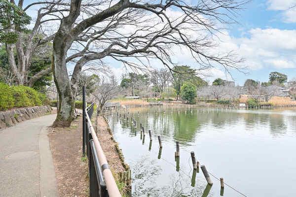 洗足池公園／約160m