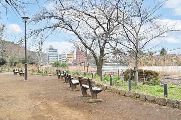 洗足池公園／約160m