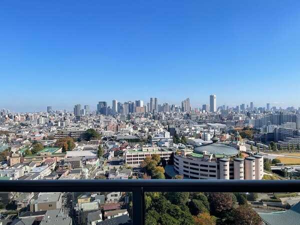 新宿新都心のビル群を望めます
