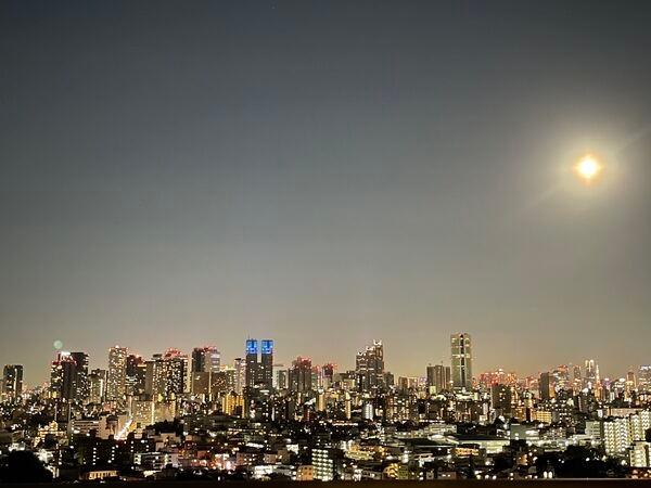新宿新都心のビル群を望めます