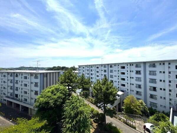 現地北側からの撮影です。