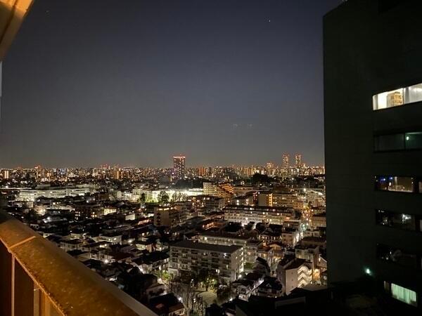 都心の夜景を望む