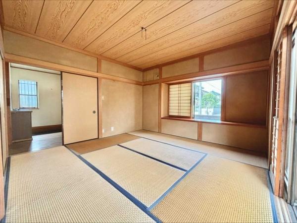 庭（2024年06月撮影）