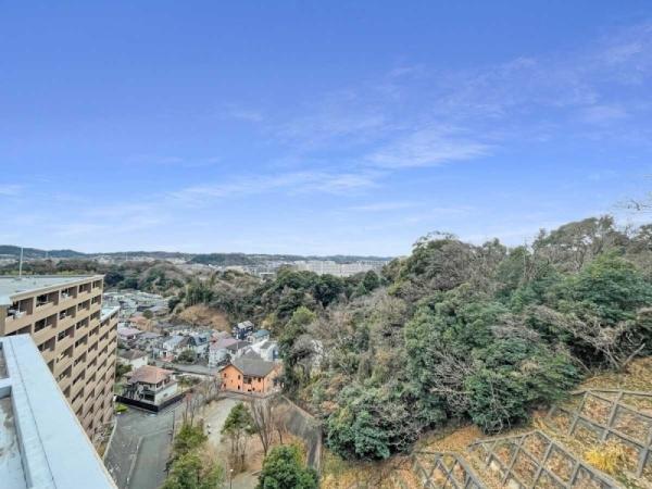 眺望（2024年08月撮影）