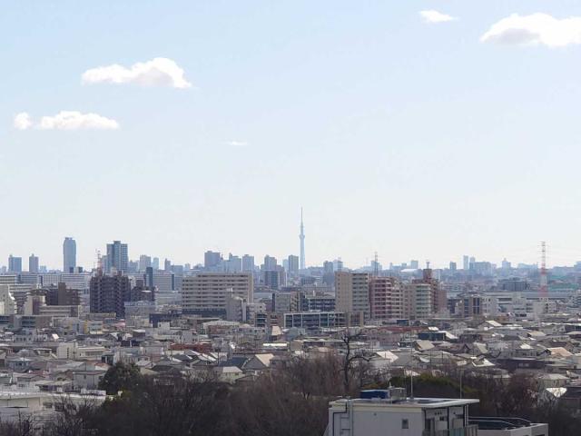眺望：ズームあり（晴れた日にはスカイツリーが望めます）
