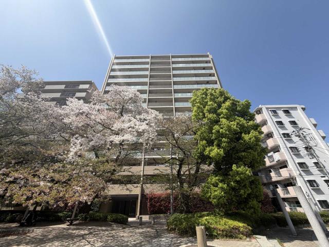 外観(撮影年月：2026年04月)