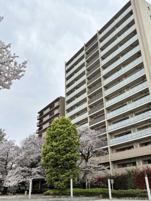 外観(撮影年月：2026年04月)