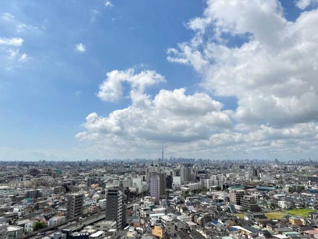 眺望：南バルコニーから