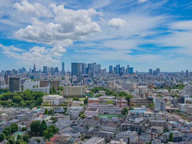 眺望：昼景(ズームなし)