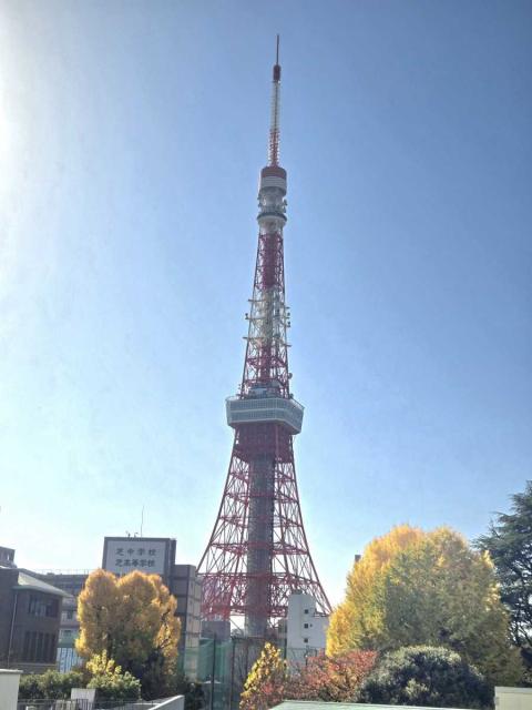 眺望：ズーム有(バルコニーから)(撮影年月：2025年12月)