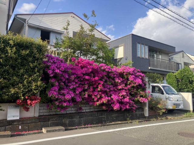 現地（古家あり）(撮影年月：2026年04月)