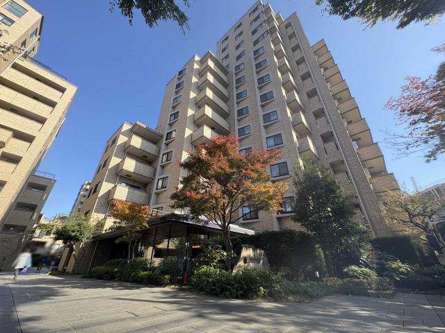 外観：(アトラス国領サウスタワー)（撮影年月：2025年11月）