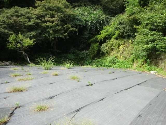 鎌倉市御成町　土地 土地