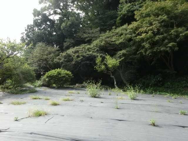 鎌倉市御成町　土地 土地