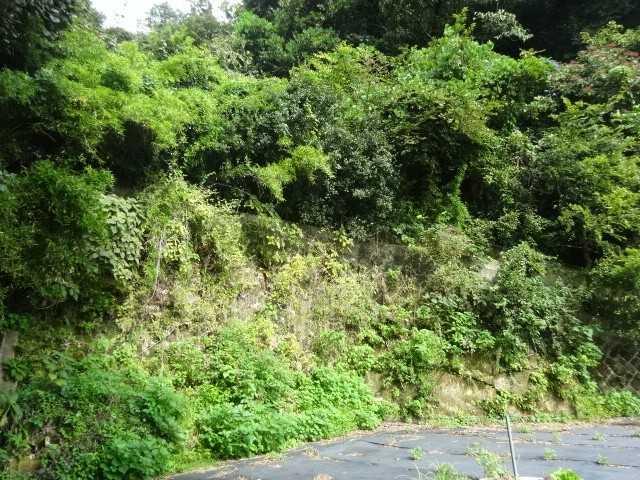 鎌倉市御成町　土地 土地