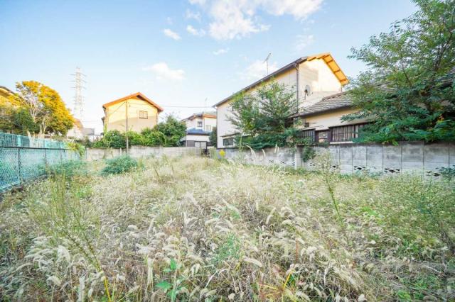 現地（撮影年月：2025年10月）