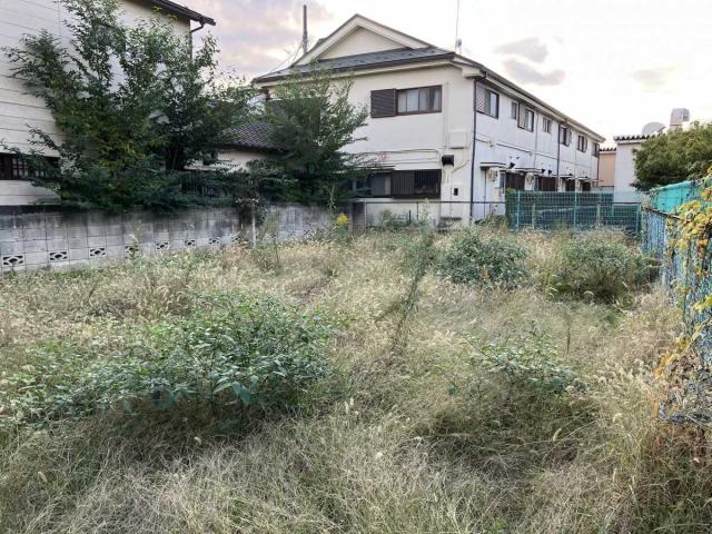 現地（撮影年月：2025年10月）