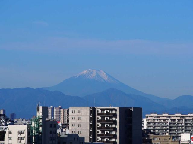 LDK（撮影年月：2025年11月）